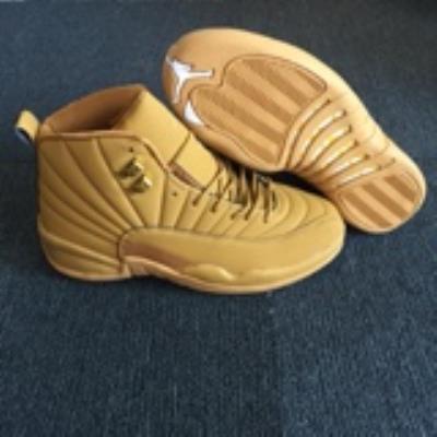 Air Jordan 12-294